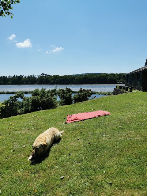 The Fish House (holiday cottage)