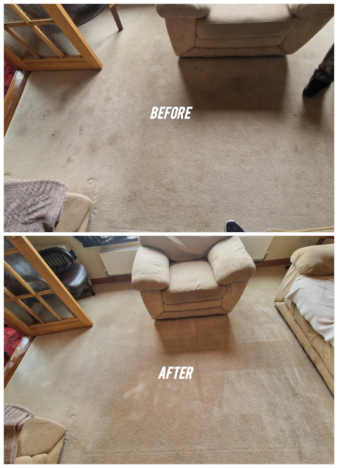 Dixon Cleaning - Carpet/Window Cleaning service