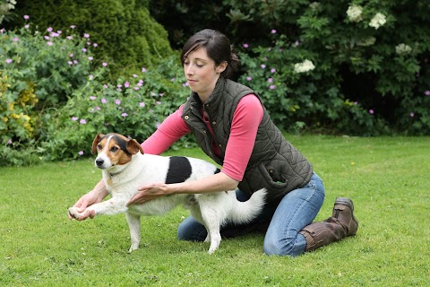 Ruth Boland Animal Physiotherapy