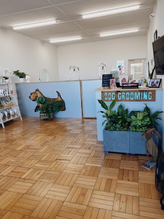 The Wag-Club Grooming & Daycare Mount Maunganui