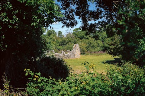 Visit Innisfallen Island