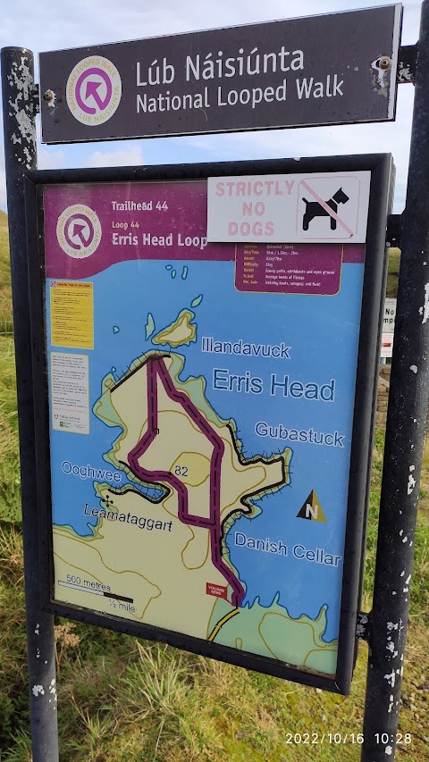 Erris Head Loop Walk