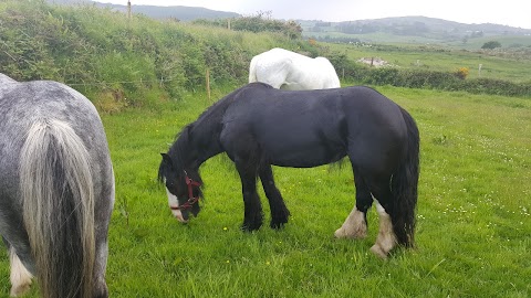 Coomanore South Equestrian Centre