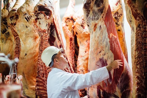 Dan Moloneys Master Butcher & Fine Foods