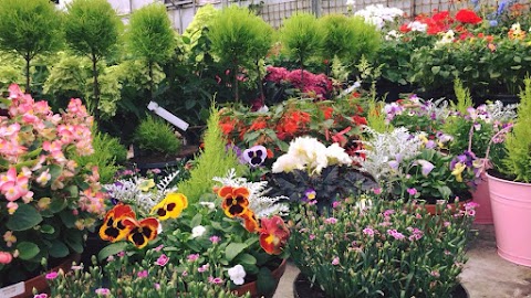 Ballinasloe Garden Centre