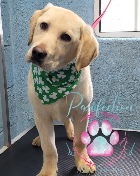 Pawfection Dog Grooming Thurles