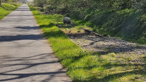 Old Rail Trail (Whitegates, Athlone)