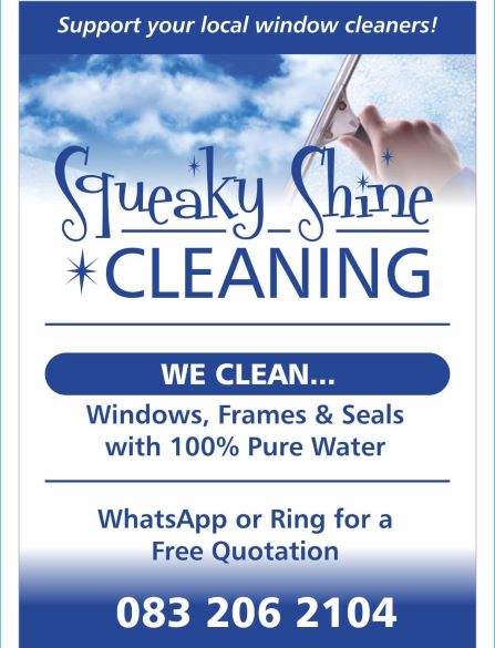 Squeaky Shine Cleaning