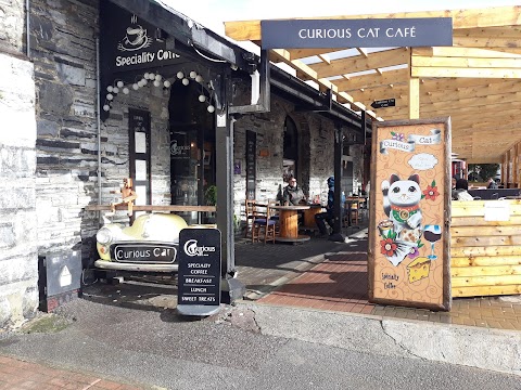 Curious Cat Café