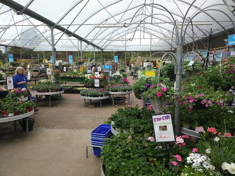 Ardcarne Garden Centre