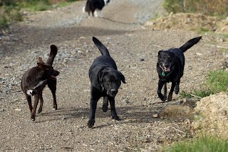 Country Bumpkins Private Dog Park