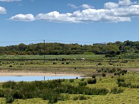 Harper's Island Wetlands