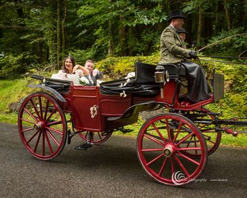 Sean Kilkenny Carriages, Trekking and Equine Services (thejarveyman)