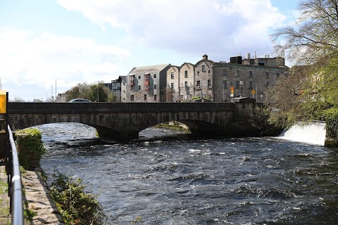 Salmon Weir Bridge