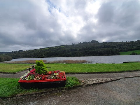 Curraghalcky Lake Viewing Point