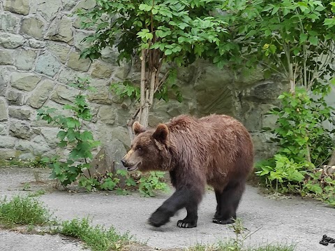 Śląski Ogród Zoologiczny - Kasy biletowe