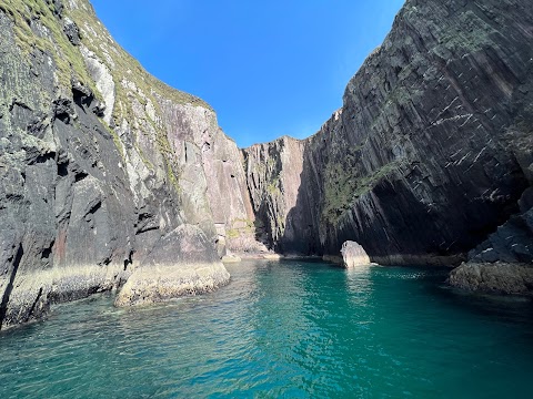 Dingle Dolphin Boat Tours