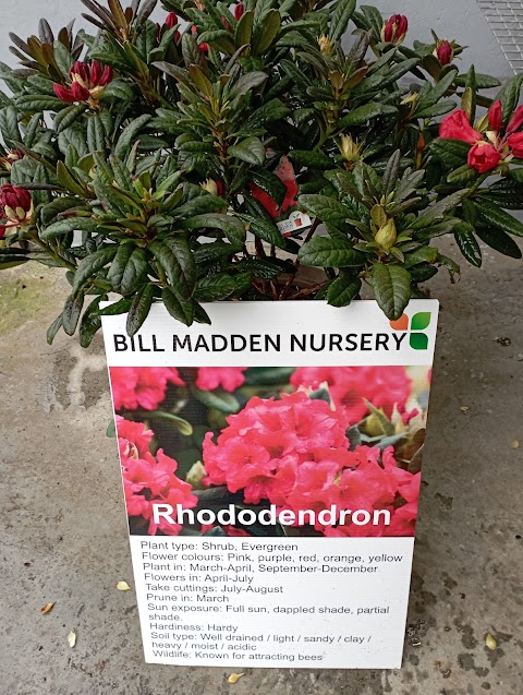 Bill Madden Nursery