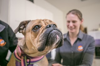 Fulham Gardens Animal Hospital - Pets and their People