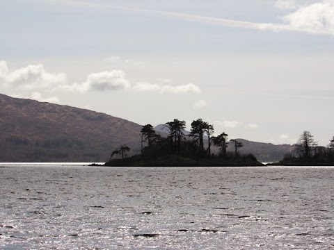 Kenmare Bay Boat Tours