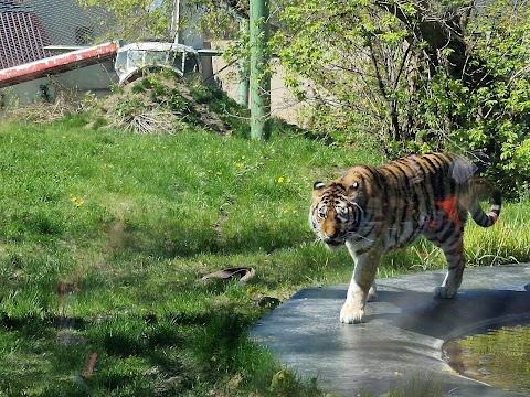 Orientarium ZOO Łódź