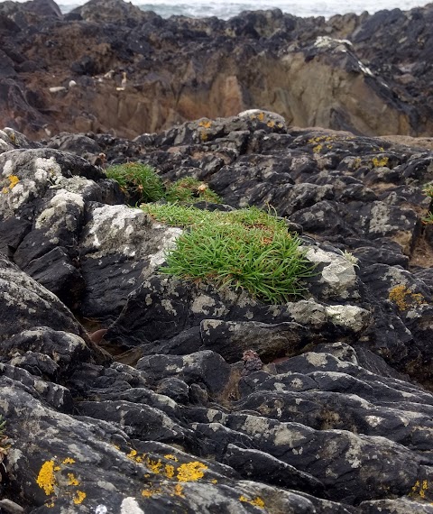 Ballycotton Island Lighthouse Tours