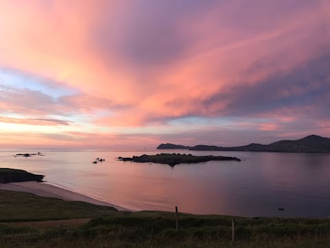 The Great Blasket Island Experience