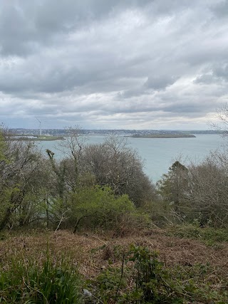 Curraghbinny Woods (Coillte Corra Binne)