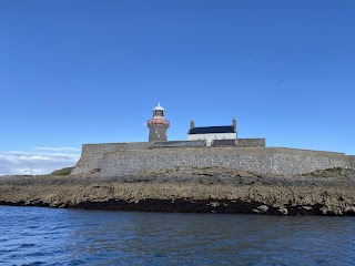 Fenit Sea Safari