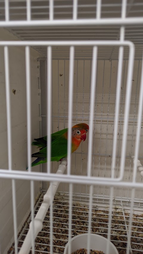 Avian World Pet Store