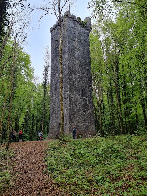 The Guinness Tower (1864)