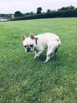 Home Away Boarding Kennels