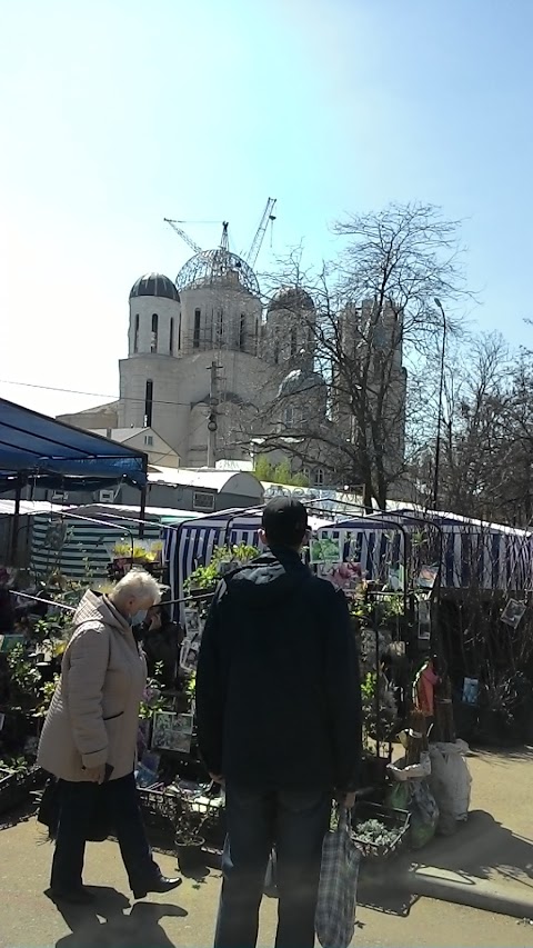 Храм Володимирської Ікони Божої Матері РПЦ