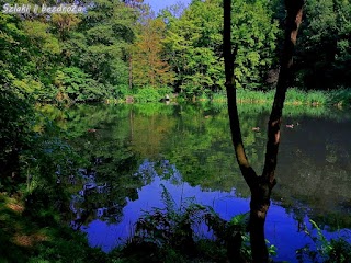 Dolina Trzech Stawów