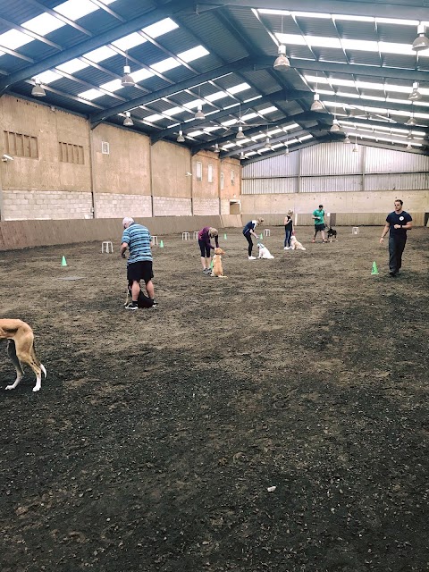 Muddy Paws Dog Training