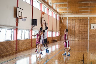 Queensland Institute of Sport