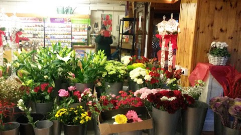 Four Seasons Florists/Leitrim Flowers