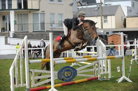 Diamonds Equine Renvyle - The Connemara Pony National Stud