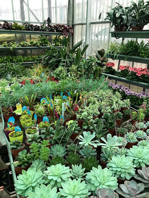 Shanahan's Garden Center