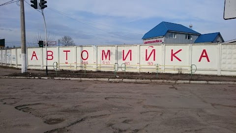 Автодушик