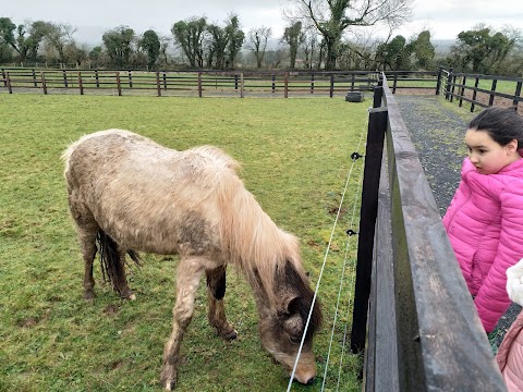 Limerick Animal Welfare Sanctuary