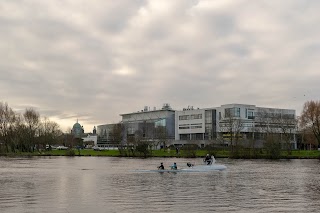 Information Technology Building