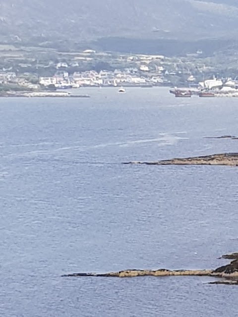 Castletownbere GAA Club