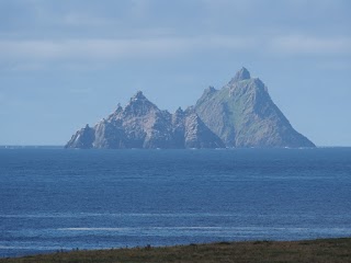 Skellig Falcon