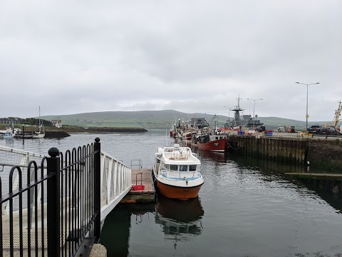 Dingle Dolphin Boat Tours