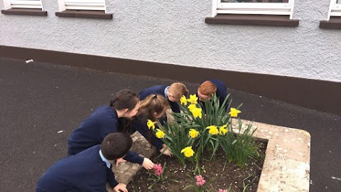 Askeaton Junior National School