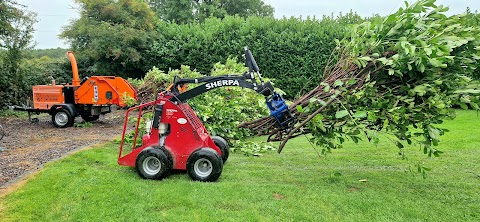 Tree Surgeons & Tree Removal - Pro Gardening - Limerick