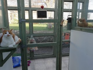 Barna Cattery