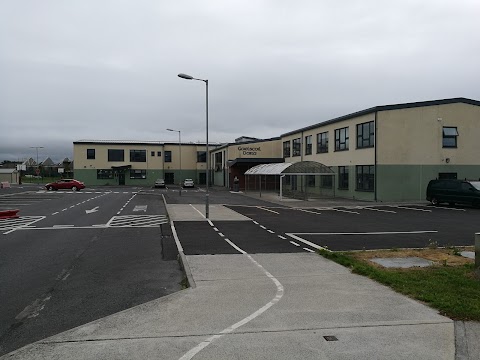 Gaelscoil Dara