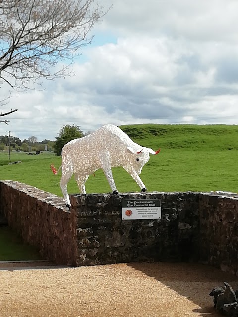 Táin Café @ Rathcroghan Visitor Centre